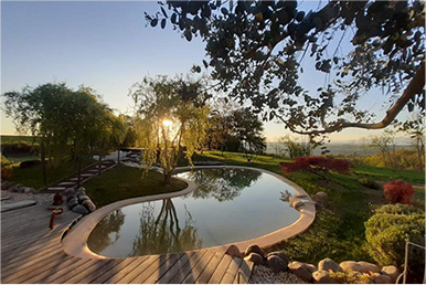 Design harmonieux entre une piscine lagon et une terrasse moderne